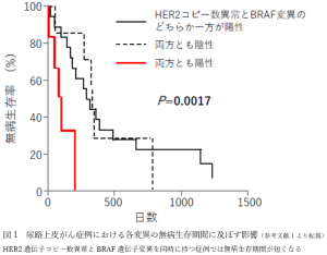 図1 尿路上皮がん症例における各変異の無病生存期間に及ぼす影響